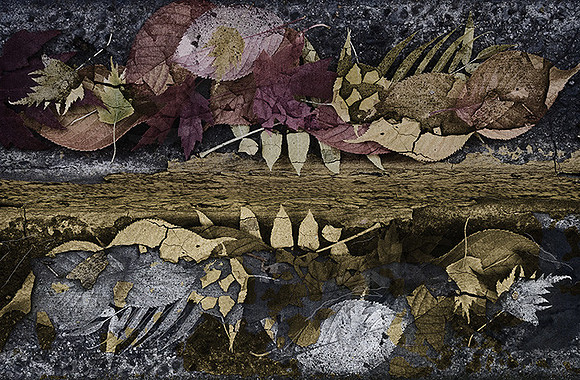 Leaf Collage
