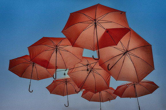 Parasol Gathering
