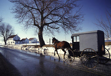Buggy on Wet Road
