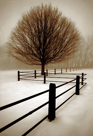 Solitude