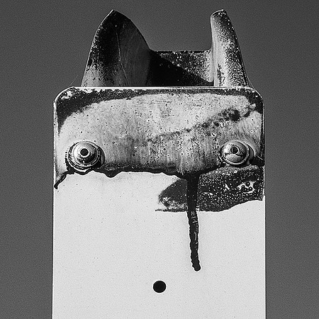 Roadside Quandary