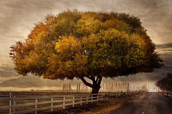 Autumnal Landscape