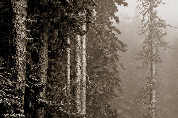 Winter in May