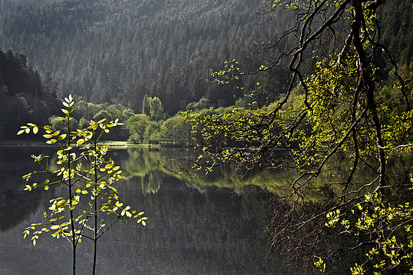 Squaw Lake