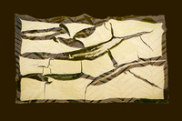 Abstract 34