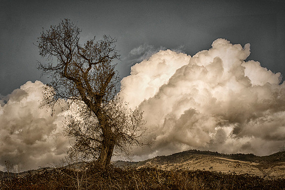 Cumulus Connection