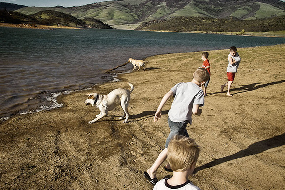 Lake Frolic