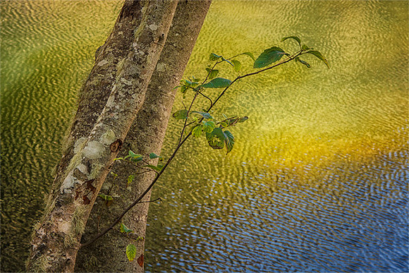 A Summer's Moment