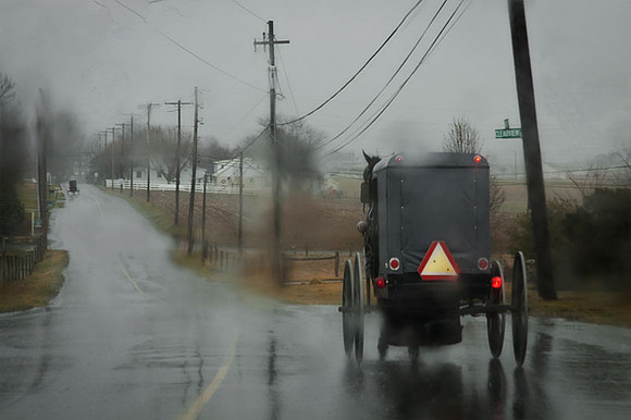 Buggies on Wet Road