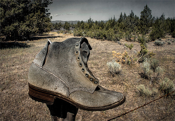 Pole Shoe II