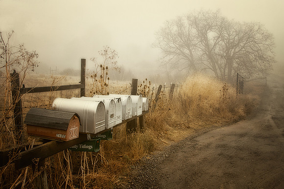 Boxes in Fog