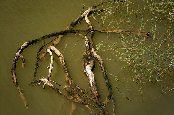 Floating Limbs