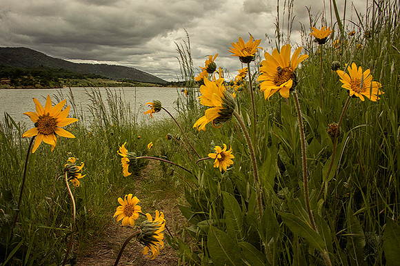 Lake Path