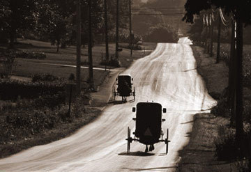 Buggies En Route