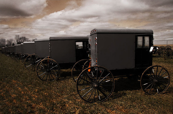 Amish Buggies III