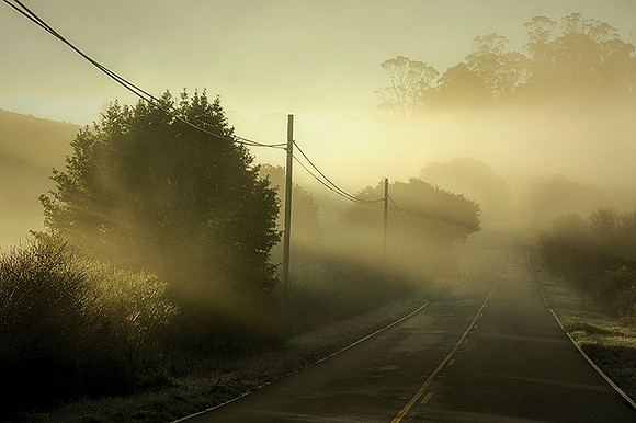 Road to Bolinas
