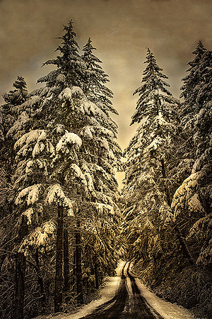Winter Way