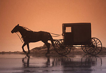 Buggy Silhouette