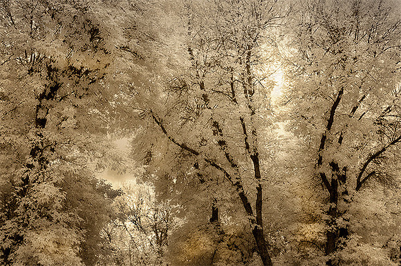 Skyward Vision