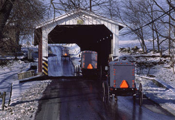 Buggies at Covered Bridge
