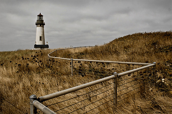Yaquina Head II