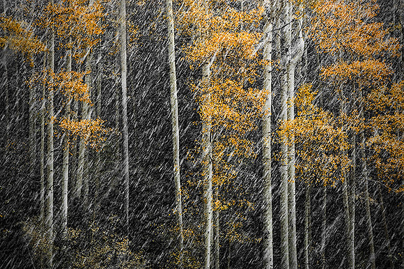 Aspen Snowfall