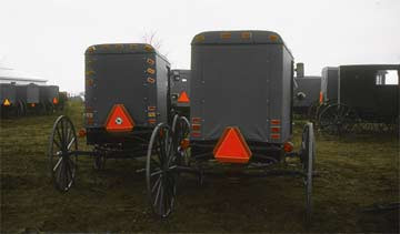 Buggies