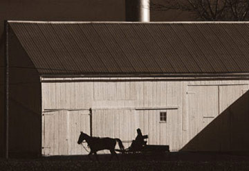Horse, Carriage and Barn
