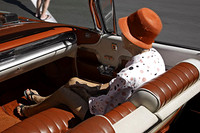 Lady in Passenger's Seat