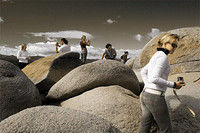 Tahoe Tourists