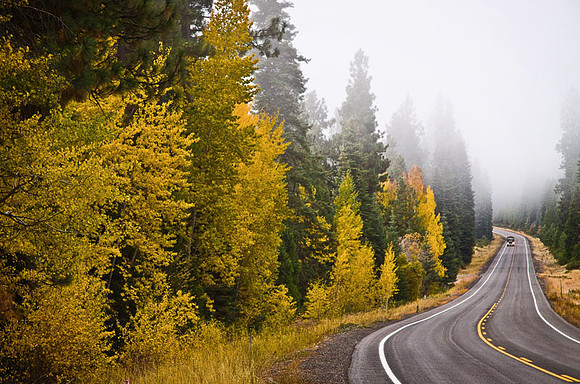 Roadside Autumn
