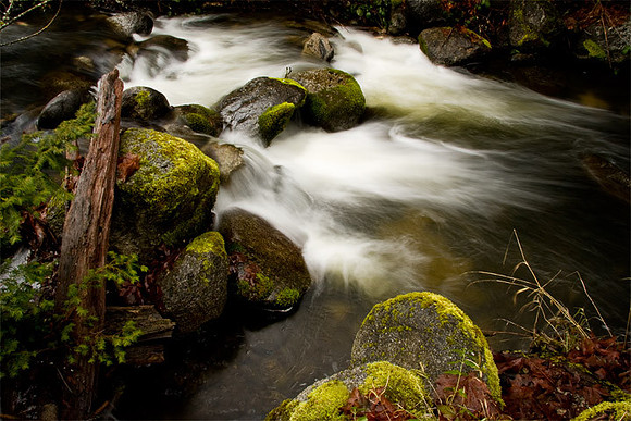 Ashland Creek