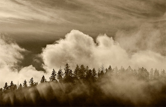 Applegate Cloudscape