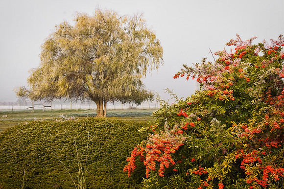 After The Fog
