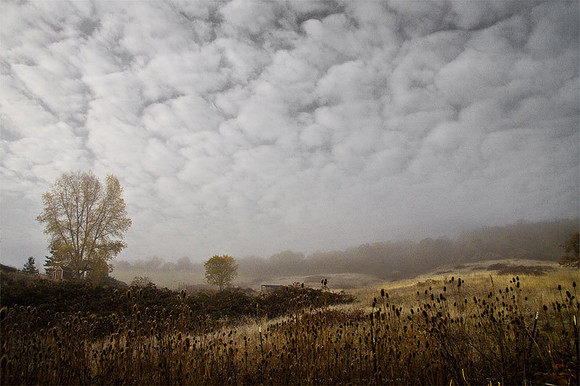 November Morning