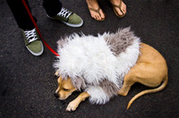 Winston Unleashed 2009