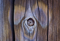 Mouse Knot