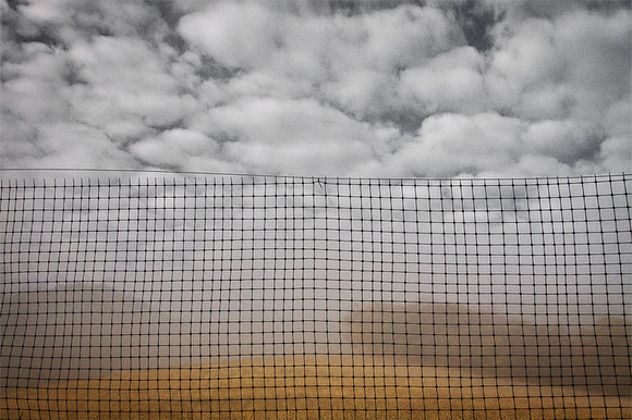 Fenced Pastoral