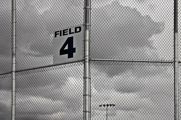 Field 4