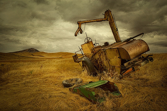 Old Wheat Harvester