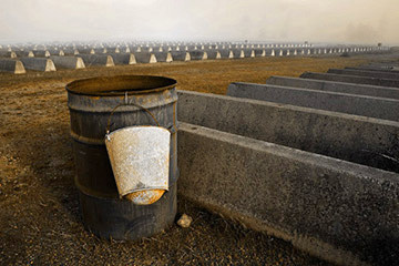 Cement Blocks