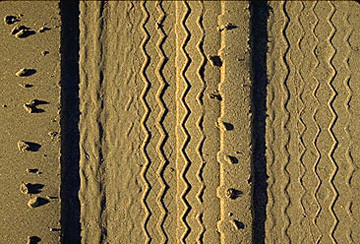 Tire Tracks