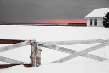 Fence at Fortescue