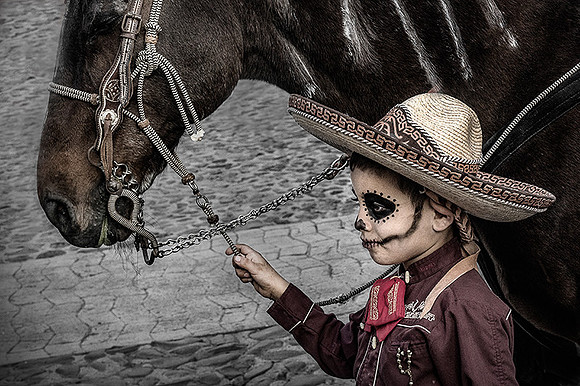Young Horseman
