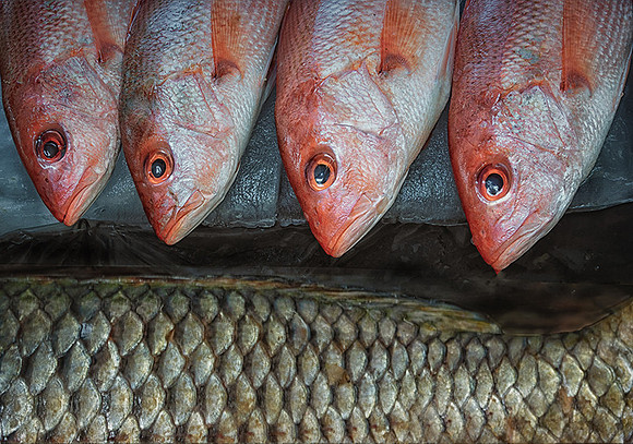 Fish Market
