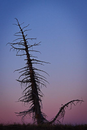 Silhouette at Sunrise