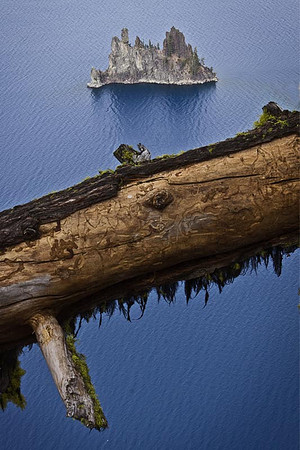 Phantom Shipwreck and Stump