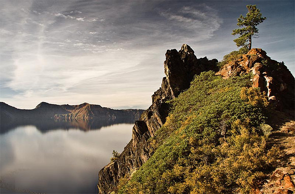 Lone Tree & Lake