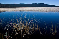 Grass Lake