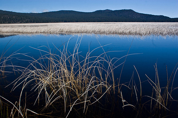 Grass Lake